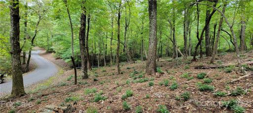 Lot 68 Serpentine Drive