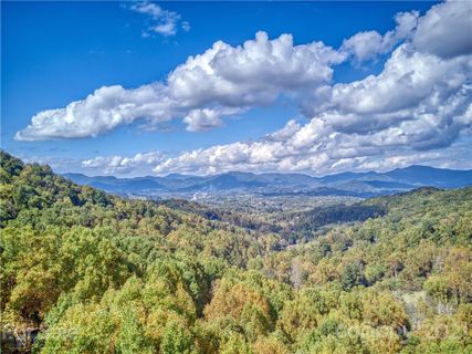 181 Pineneedle Way sold home in Hemlock Springs, Canton, NC