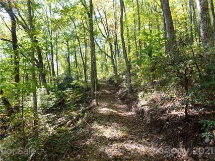 0 Chestnut Forest Road
