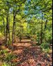 62 Bramblewood Drive sold home in Rutherfordton, SC