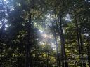 Tbd Spruce Flats Road 39 sold home in Maggie Valley, SC