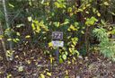 73 Boone Cove Road 72 sold home in Zirconia, SC