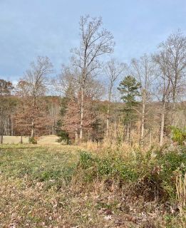 3656 Cornwell Court 142