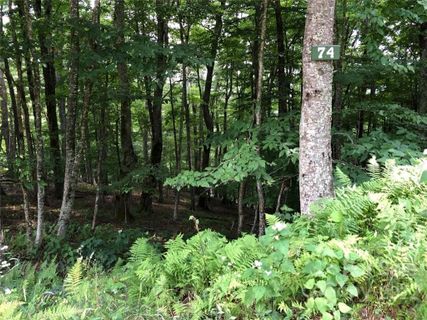Tbd May Apple Lane 74 sold home in Wolf Laurel Heights, Mars Hill, NC