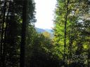 9 Katua Trail 9 & 26 sold home in Maggie Valley, SC