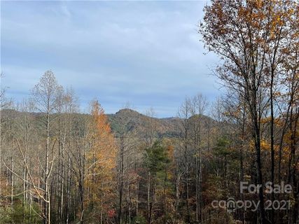 181 Clearview Lane 7