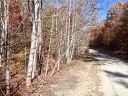 Lot 46 N Haven Ridge Lane sold home in Marion, SC