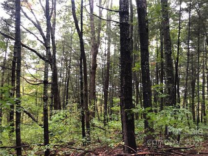 Tbd Livingston Road sold home in Hoopers Creek, Fletcher, NC
