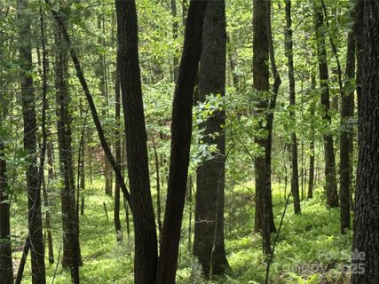 9999 Sassafras Road active home in Idlewild, Cedar Mountain, NC