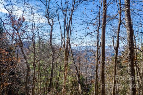 9999 Kalmia Drive 19 sold home in Rice Knob Heights, Asheville, NC