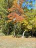 00 Madison Street sold home in Gastonia, SC