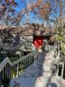319 Hillcrest Circle sold home in Spruce Pine, SC