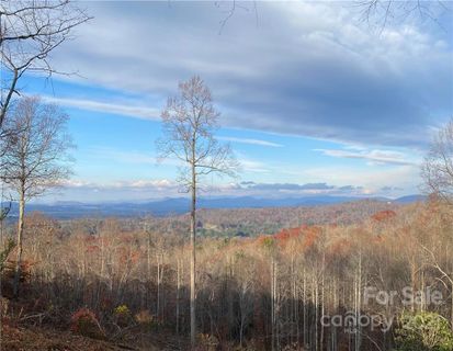 Lot 10 Skydance None sold home in Skydance, Hendersonville, NC