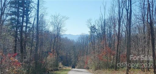 37 Ashewood Mountain Way 24 sold home in Ashewood, Candler, NC