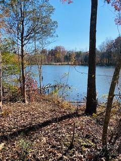 721 Flamingo Road sold home in Flying Eagle Estates, Clover, SC