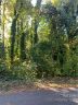 1006 Castlewood Drive sold home in Shelby, SC