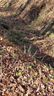 0 Melton Branch Road sold home in Bakersville, SC
