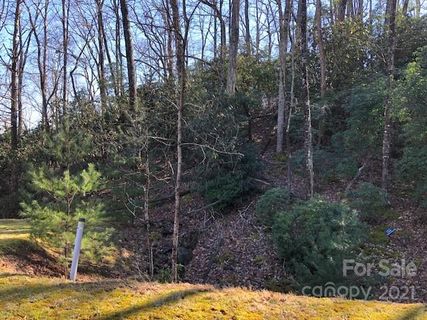 Tbd Shining Rock Path 16