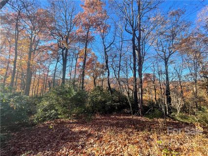 40 Poplar Crest Drive