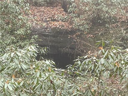 Lot 96 Peppervine Circle