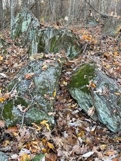Lot 103 Avalon Gap Trail