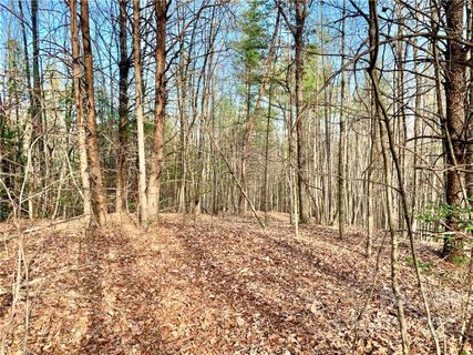 0 Round Mountain Parkway 63