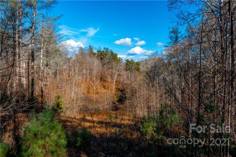 5 Acres Mearwild Drive 43B sold home in River Highlands at Madison Crs, Marshall, NC