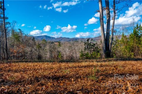 9 29 Acres Mearwild Drive 43A sold home in River Highlands at Madison Crs, Marshall, NC