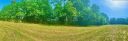 103 Ryleigh Dan Place sold home in Mooresville, SC