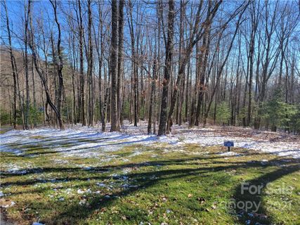 0 Thunder Mountain Road 133