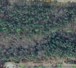 Lot 18 Knottywood Lane sold home in Vale, SC