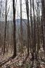199 Morning Air Lane sold home in Hendersonville, SC