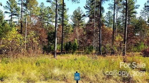 0 Big Pine Drive 88