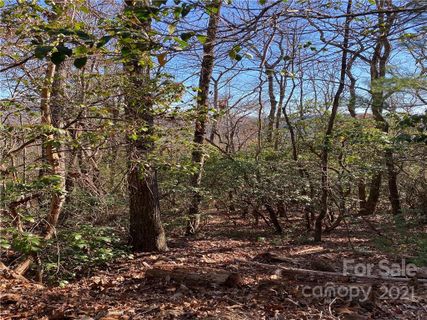 5c Dogwood Circle C-5 sold home in Dogwood Mountain Estates, Penrose, NC