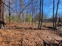 124 Sleepy Hollow Drive sold home in Waynesville, SC