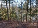 00 Buffalo Shoals Road #10 sold home in Lake Lure, SC