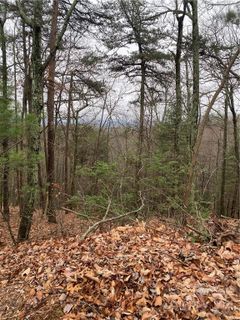 3209 Holly Road 54 & 55