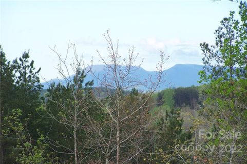 Tract 7 County Line Road sold home in Overmountain Farms, Mill Spring, NC