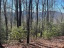 0000 Laurel Thicket None 100/101 sold home in Brevard, SC