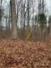 11301 N Hampton Drive sold home in Charlotte, SC