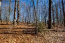 99999 Burnt Ridge Trail sold home in Black Mountain, SC