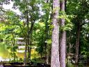 5716 Griffin Point sold home in Clover, SC