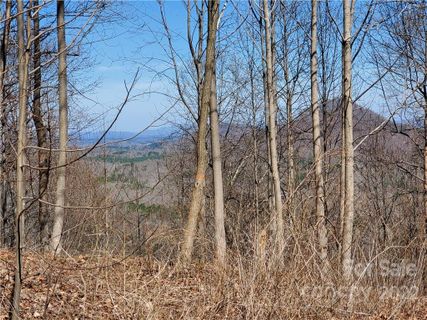 00 Ragans Point 31 sold home in The Sanctuary of Tryon, Columbus, NC