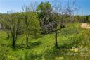 502 Wilma Dykeman Trail 89 sold home in Asheville, SC