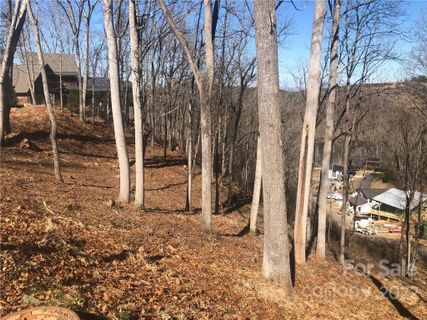 17 Tulip Poplar Trail 30