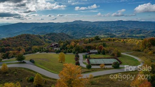 C48 Buffalo Nvno None sold home in Sunalei Preserve, Zionville, NC