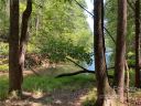 171 Big Tree Way 4 sold home in Nebo, SC