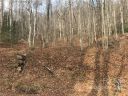 115 Sugar Maple Drive 815 sold home in Black Mountain, SC