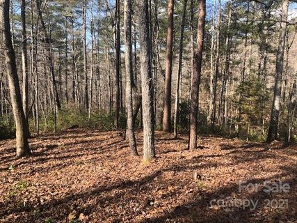 36 Mountain Parkway
