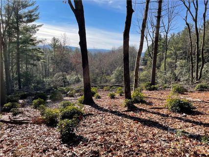 Lot 55 Winterberry Drive sold home in The Wilson Farm, Hendersonville, NC